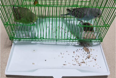 6 Best Bird Cage Liners for Easy Cleaning in 2025: Top Picks for Every Cage