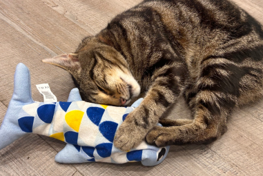 7 Best Catnip Toys That Last in 2025: Durable, Interactive Fun for Your Kitty