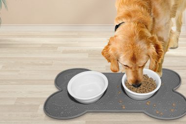 7 Best Puppy Feeding Mats Non Slip in 2025: Keep Floors Clean and Safe!