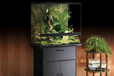 7 Best Reptile Terrariums for Beginners in 2025: Top Starter Kits and Accessories
