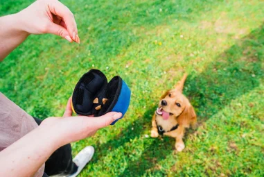 6 Best Treat Dispensers for Interactive Feeding in 2025: Engage & Train Your Pet